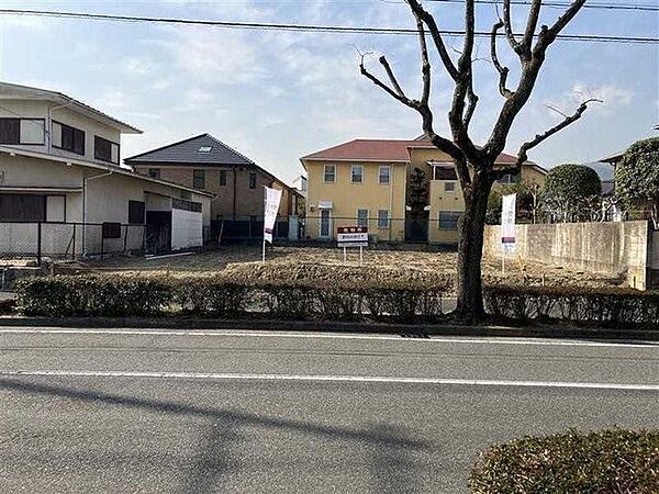 前面道路より敷地を望む