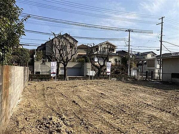 敷地内の北西角から道路側を望む