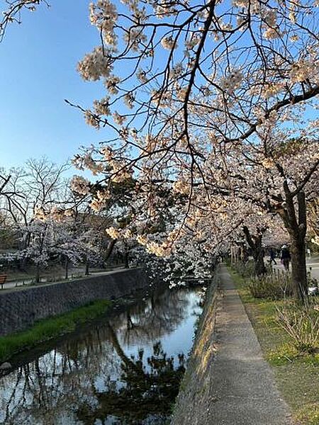 夙川公園 1150m