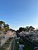 周辺：夙川公園 1150m