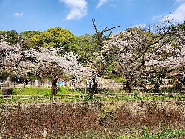 哲学堂公園 400m