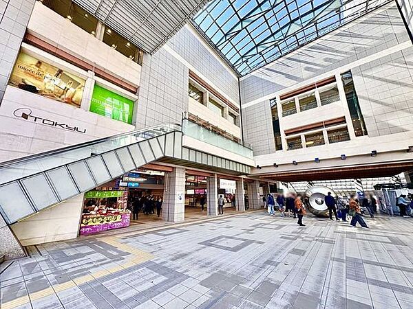 日吉東急アベニュー 900m