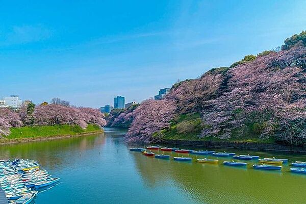 千鳥ヶ淵 1780m