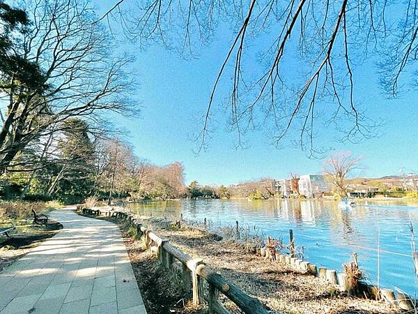 都立石神井公園 5m
