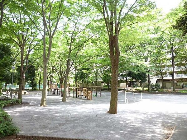 公園（光の広場）