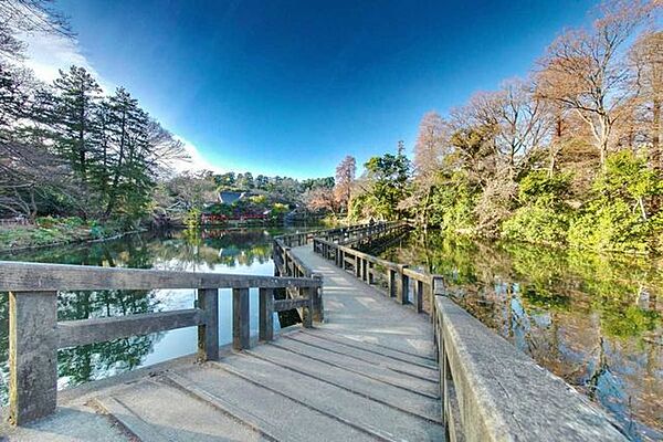 井の頭恩賜公園 100m