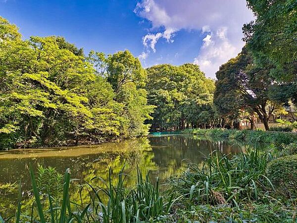 和田堀公園 800m