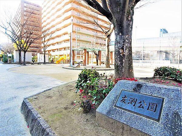 周辺を拡大表示