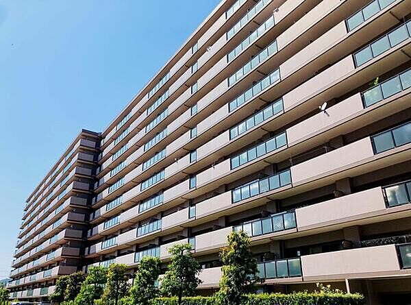 外観：326000242404