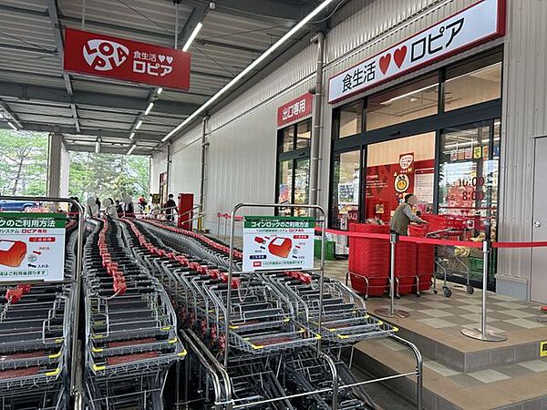 周辺を拡大表示