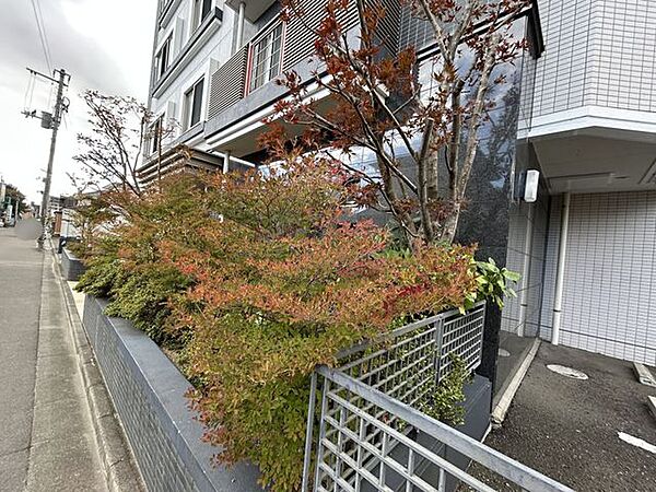 エントランスを拡大表示