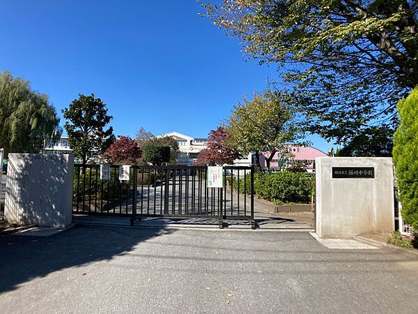 周辺を拡大表示