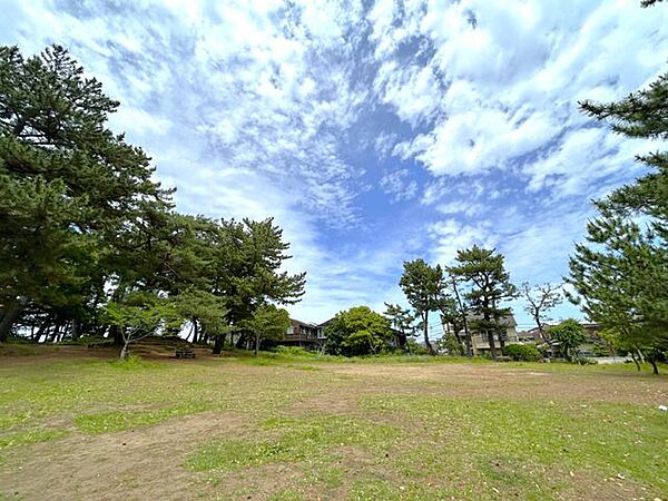 周辺を拡大表示