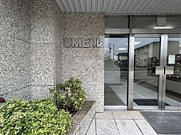 UMビル