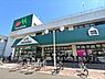 その他：マルエツみずほ台店