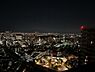 その他：LDからの夜景