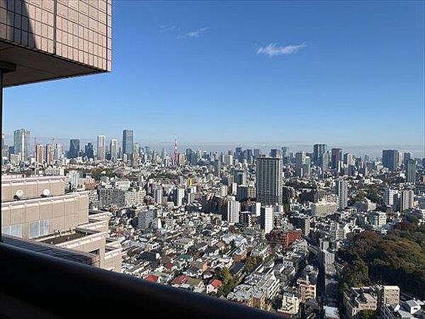 東側洋室からの眺望