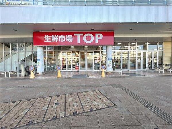 生鮮市場TOP南柏店 1300m