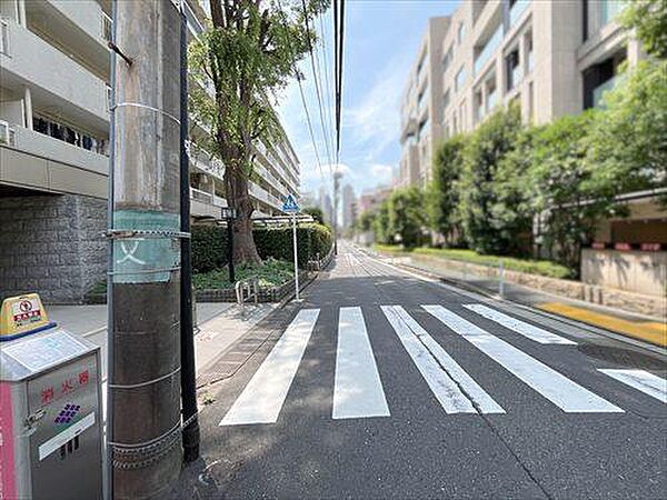前面道路（2026年8月撮影）