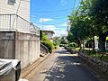 前面道路（20...
