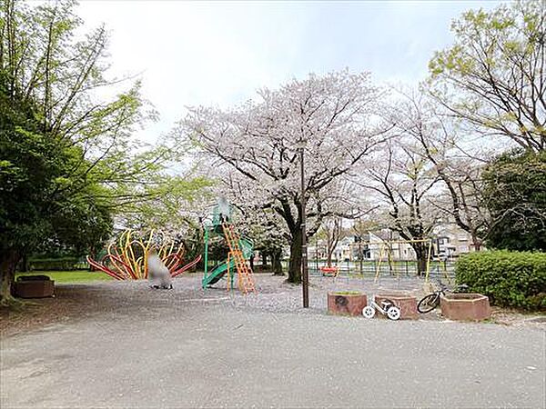 並木公園（300m）