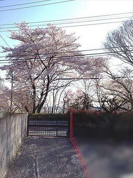 現地（2015年4月撮影）
