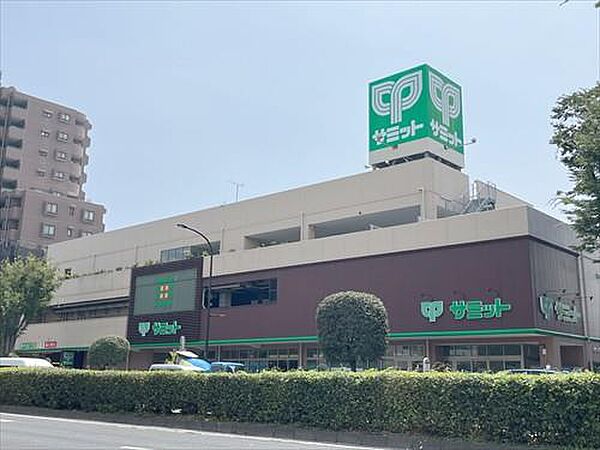 サミット野沢龍雲寺店 440m