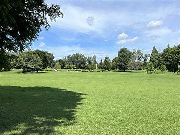 彩の森入間公園 1200m