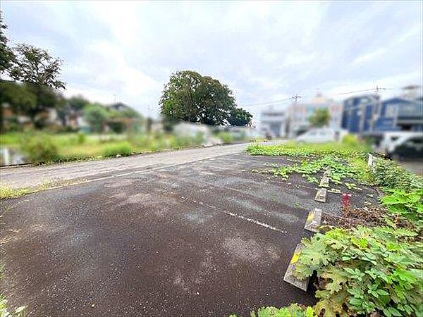 現地写真（2026年9月撮影）