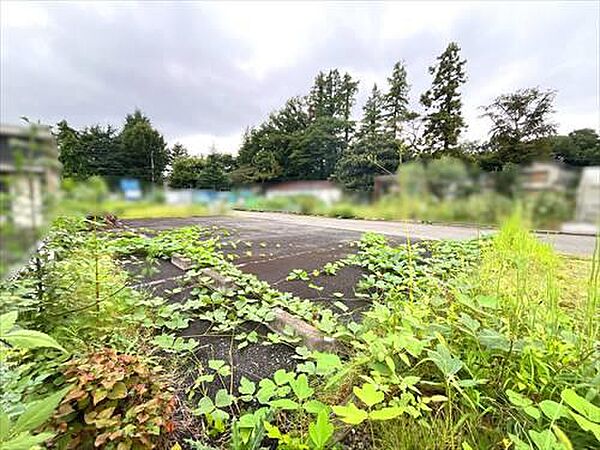 現地写真（2026年9月撮影）