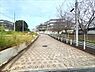 その他：分譲地東側道路（2026年10月撮影）