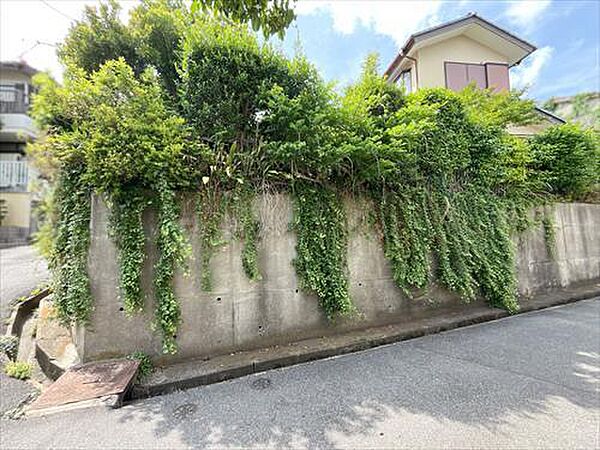 現地写真（9）2026年5月撮影