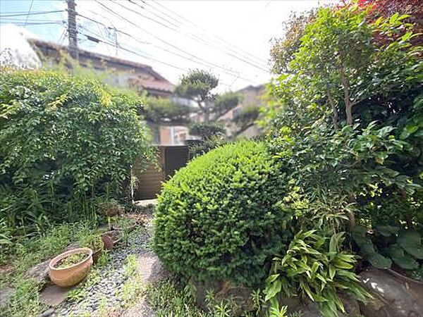 現地写真（16）2026年5月撮影