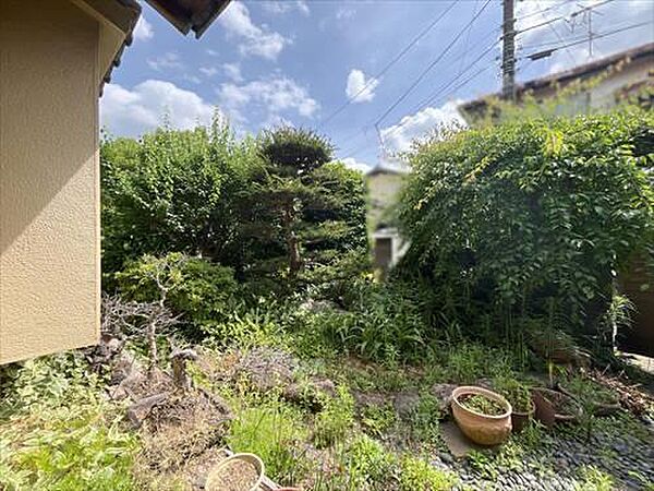現地写真（17）2026年5月撮影