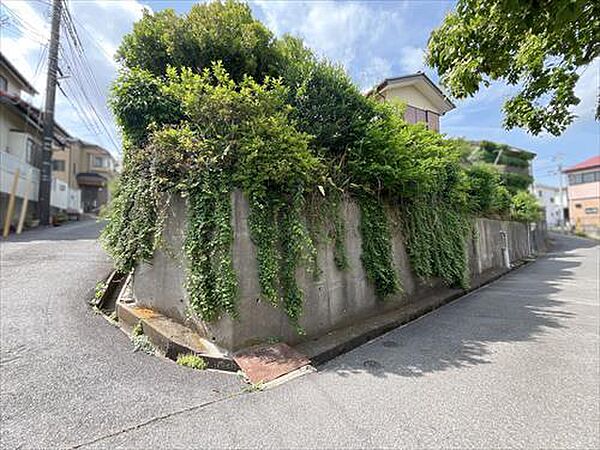 現地写真（8）2026年5月撮影