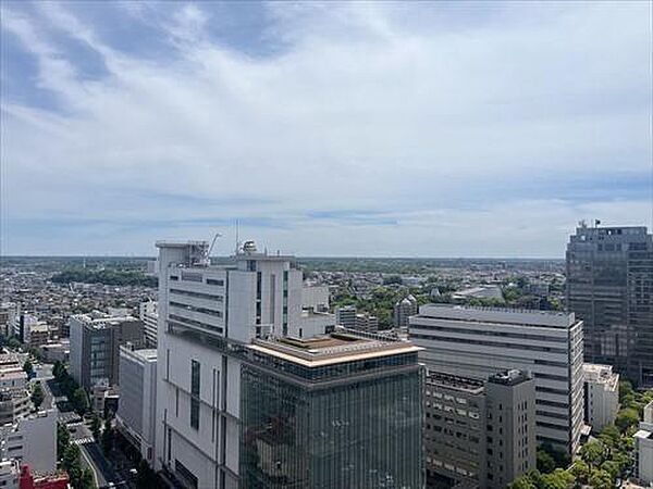 バルコニーからの眺望（3）