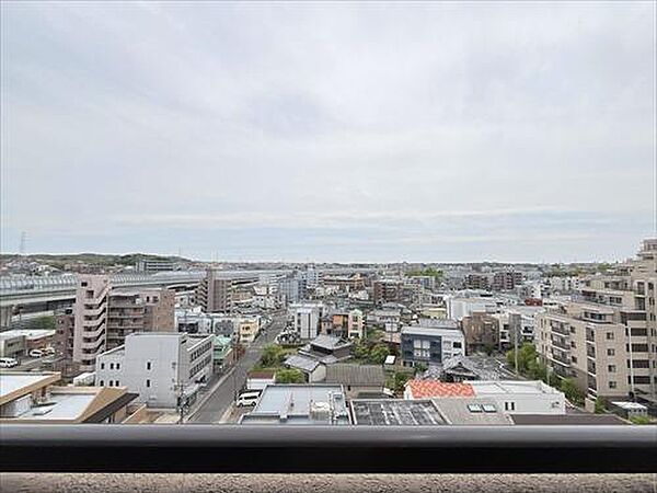 南東側バルコニーからの眺望