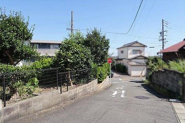南西側前面道路（北西側から）-3