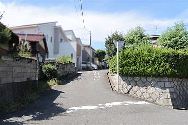 南西側前面道路（南東側から）-1