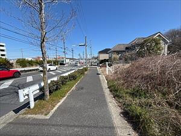 現地写真（2026年3月撮影）