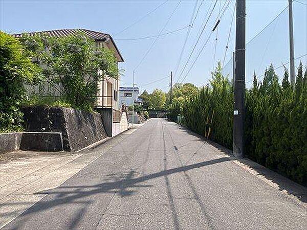 前面道路1（2025年5月撮影）