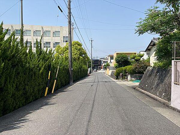 前面道路2（2025年5月撮影）