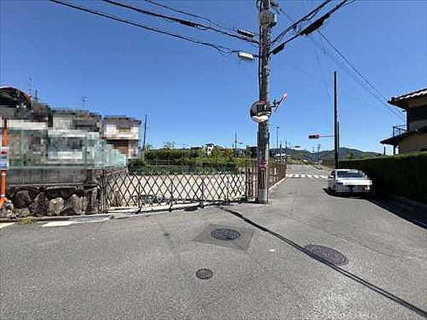 現地写真