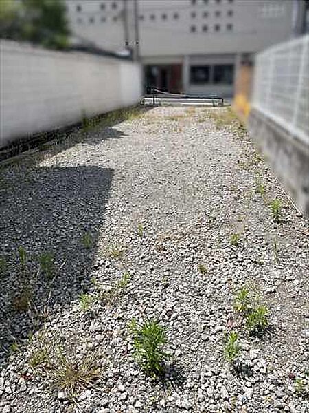 現地写真