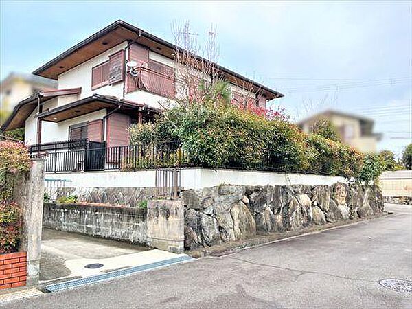 現地写真（2025年1月撮影）
