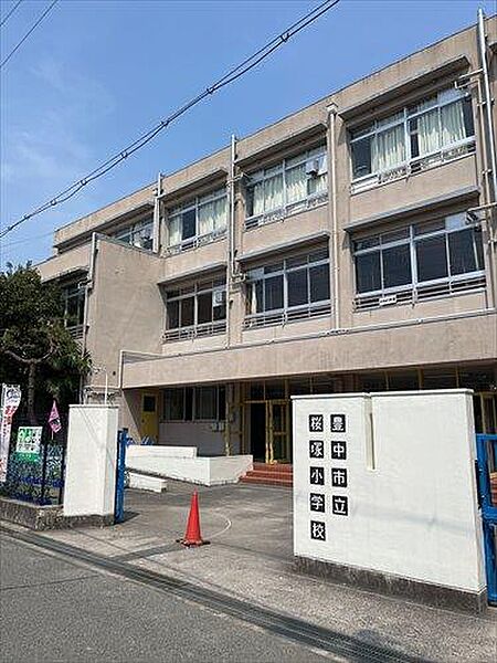 豊中市立桜塚小学校 290m