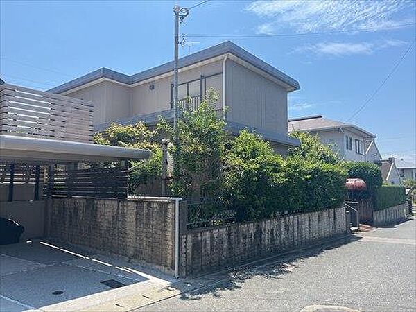 現地