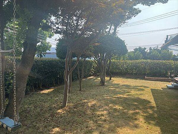 庭