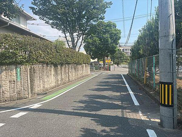 南西側公道