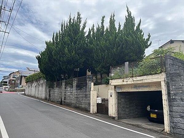 現地写真（2025年7月撮影）